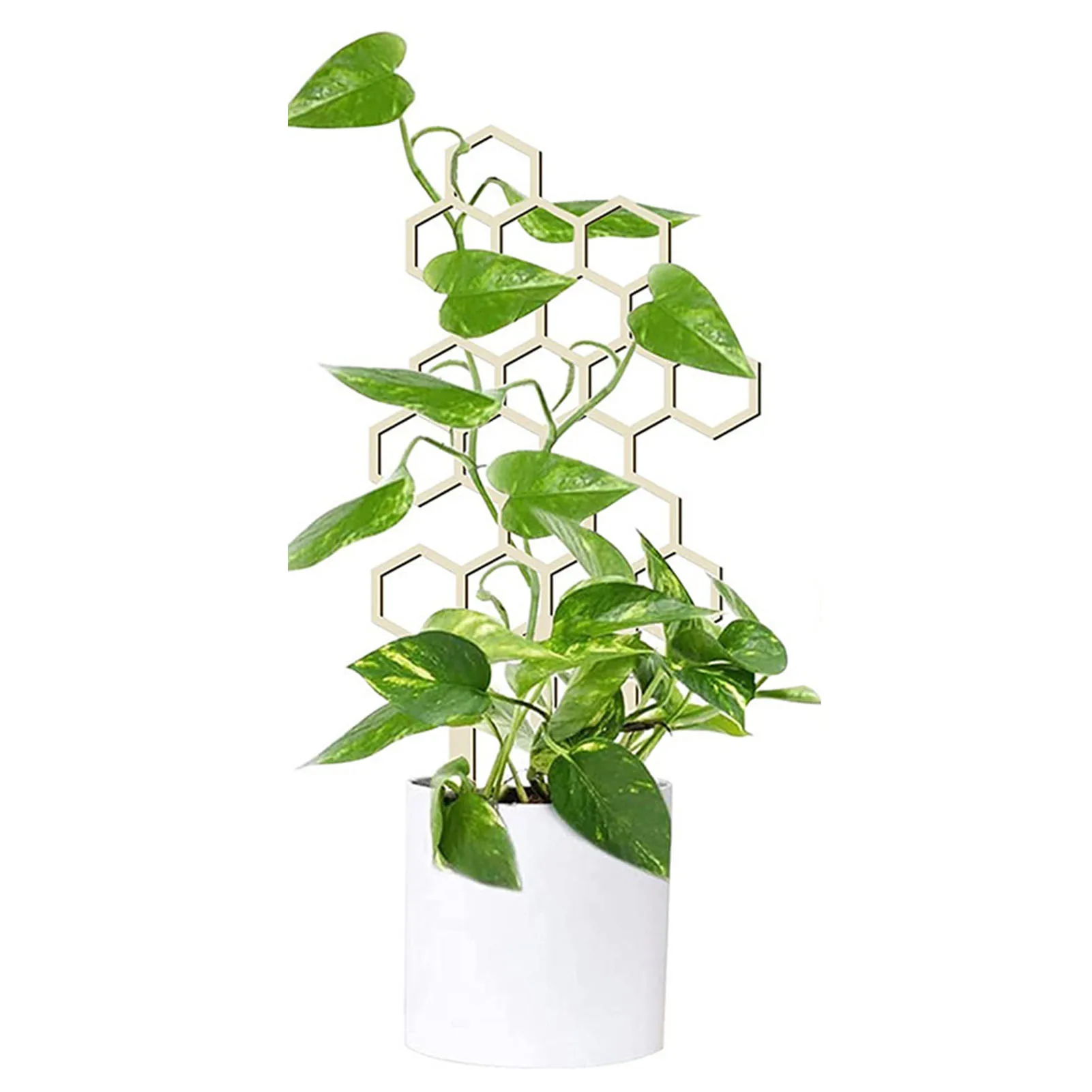 Wood Honeycomb Shape Plant Trellis for Climbing Stake Indoor Home Plants Supporter Balcony Flower Support Rack Garden Supplies