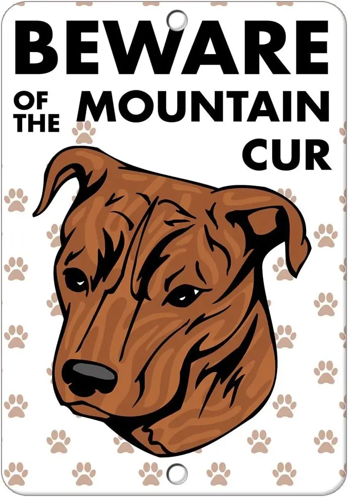 Beware of Mountain Cur Dog Metal Sign 8 in X 12 in