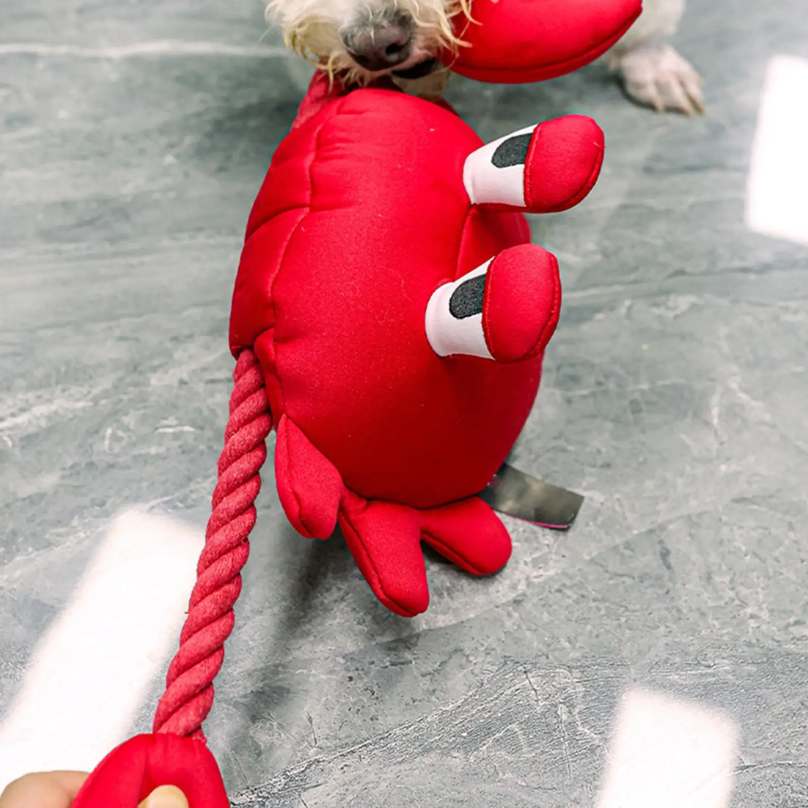 

Пищащие игрушки для собак: Красный краб для развлечения, товары для питомцев, шуршащие игрушки для щенков при прорезывании зубов, для средних и крупных пород, от скуки, для дрессировки