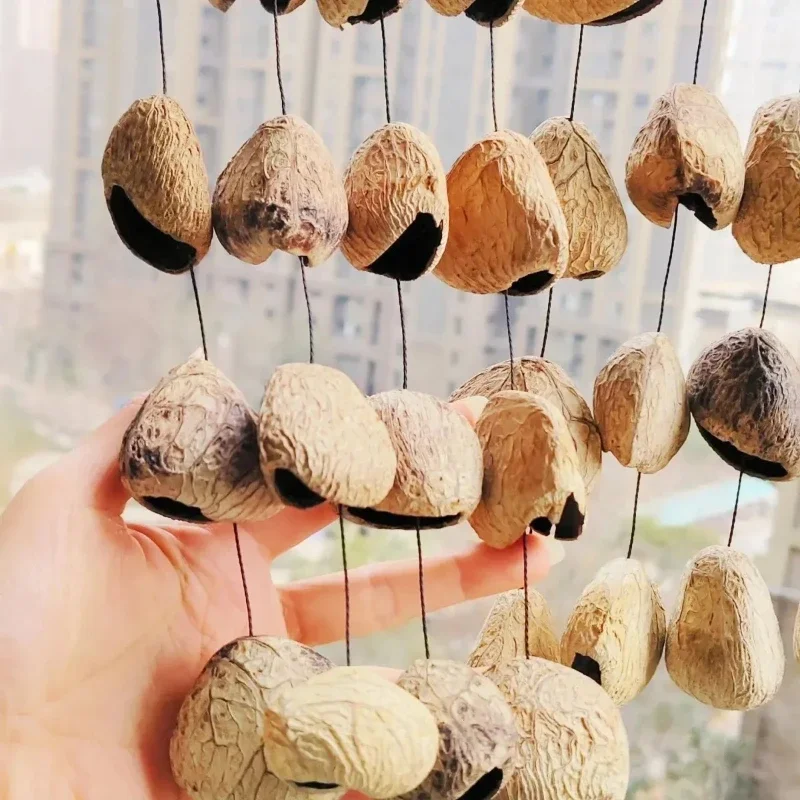 Plant Nut Shell Bell Natural Outdoor Wind Chimes Sound Healing Meditation Hand Musical Bells Diapason Percussion Instruments