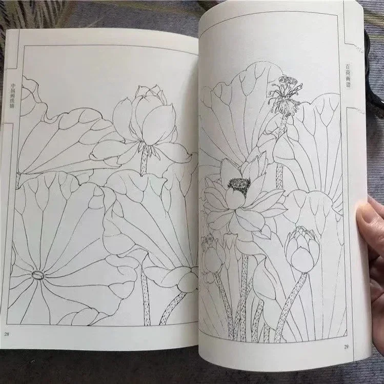 Chinese Painting Book Hundred Lotus Flowers Drawing Line Collection Art Book Relaxation and Anti-Stress Material