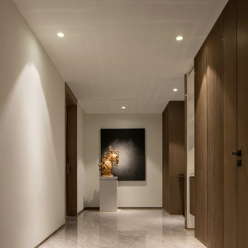Aisilan LED Recessed trimless Downlight COB Chip CRI97 Frameless Spot Lamp Minimalist Easy Installation for Living Room Bedroom