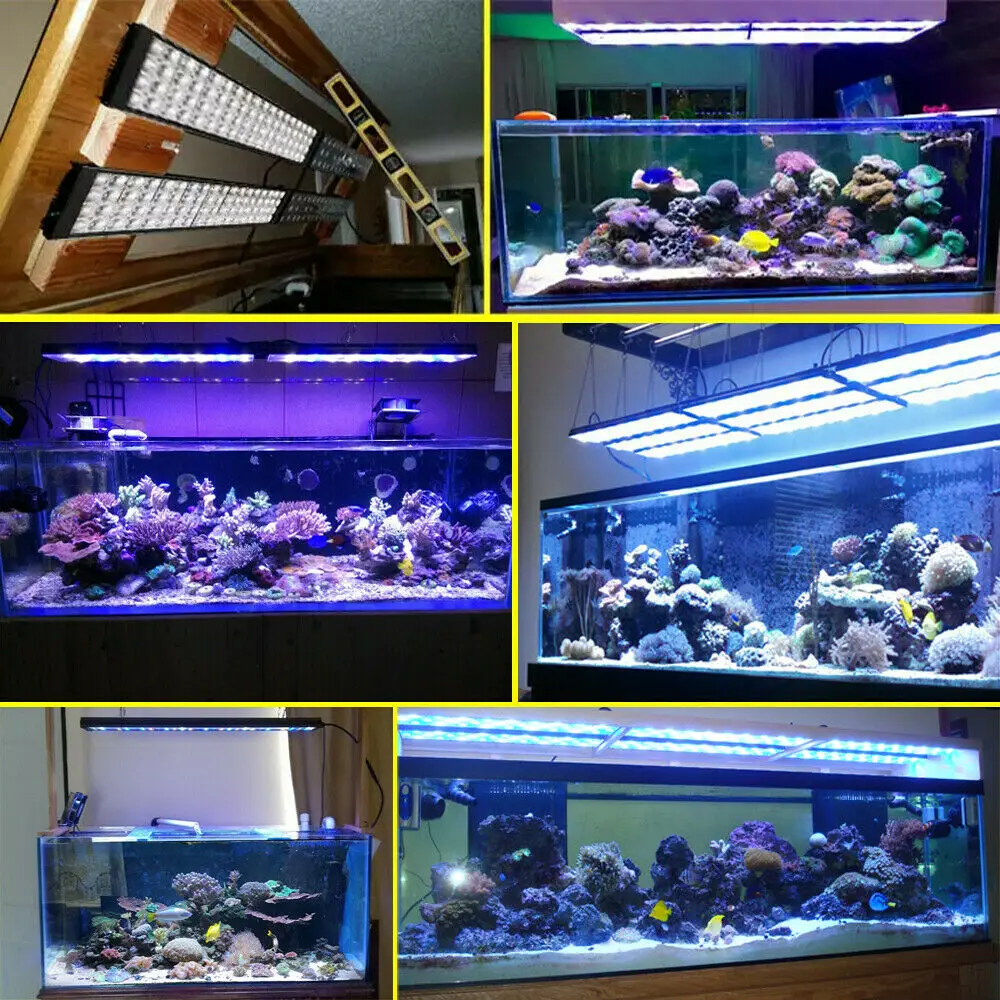 Imagem -06 - Nova Iluminação Led Popbloom-aquário Lâmpada de Aquário Marinho Espectro Completo para 80100cm 36 Reef Coral Sps Lps Luz do Tanque H75 T75