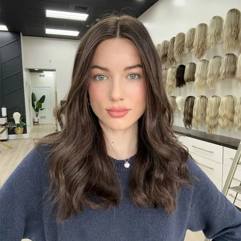 Dark Chcolate Brown Highlight Wig Synthetic HD Lace Front Wig Glueless Natural Hairline Glueless Wigs Easy To Wear Party Wigs