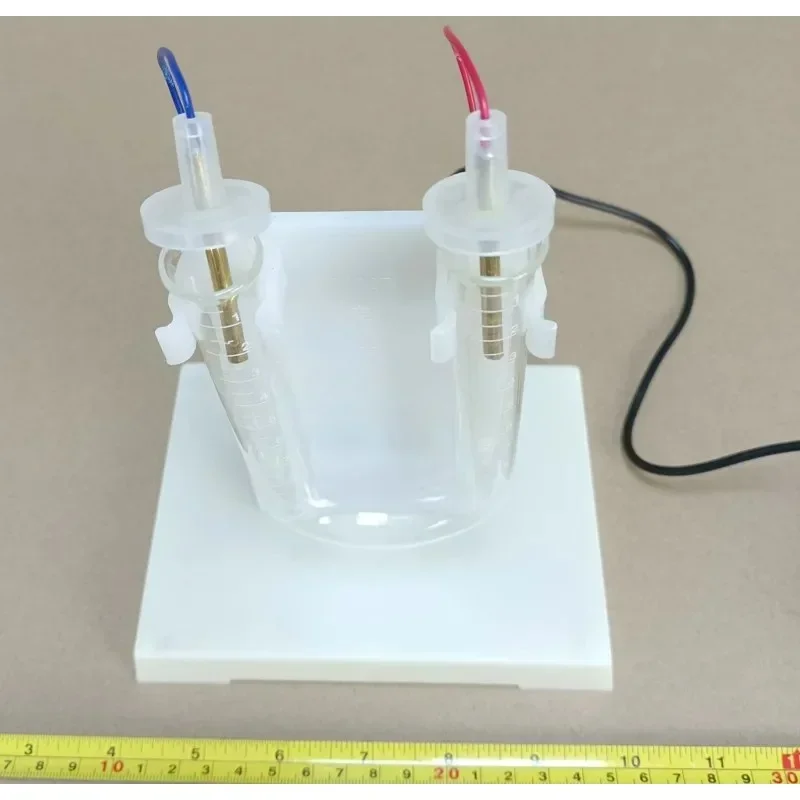 Electrophoresis Demonstrator High School Chemistry Experiment Equipment Chemical Instrument Teaching Instrument