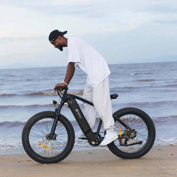 USA EU Warehouse 750W Powerful Electronic Bicycle 26 Inch Fat Tire Ebike City Mountain Electric Bike Adult E Bike Motorcycle