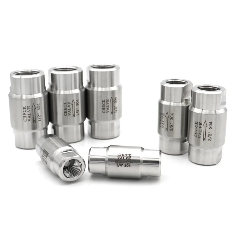 BSP Thread Female Check Valve High Temperature Pressure 304 Stainless Steel 1/8