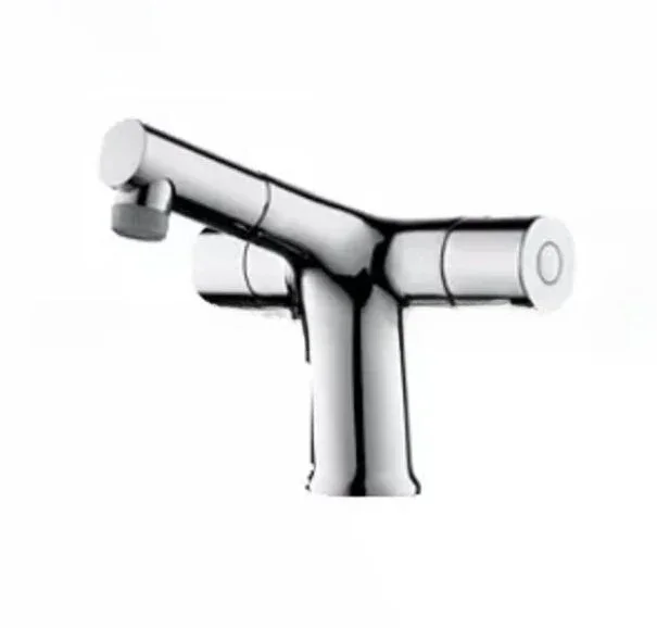 Copper, chrome-plated single-hole faucet, under-counter basin double outlet constant temperature pumping faucet 30959