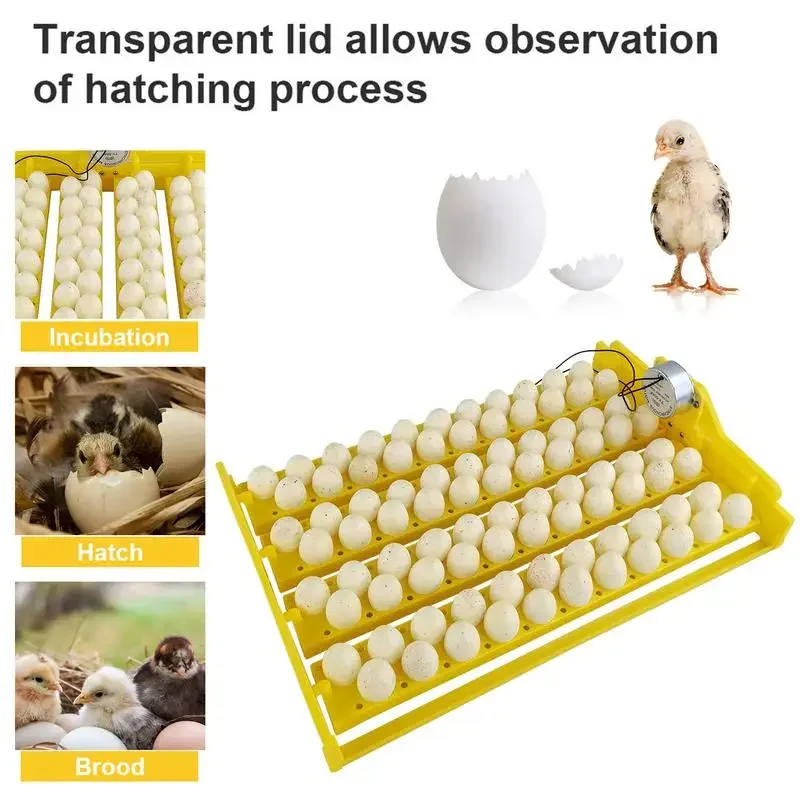 88 Eggs Incubator Trays Fully Turning Tray Automatically Turn Eggs Poultry Incubation Equipment For Quail Birds