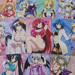 40 sztuk/zestaw kart kolekcji dziewczyny Anime DxD z serii 3 postaciami z gry Xenovia Koneko Himejima Akeno matowe karta papierowa