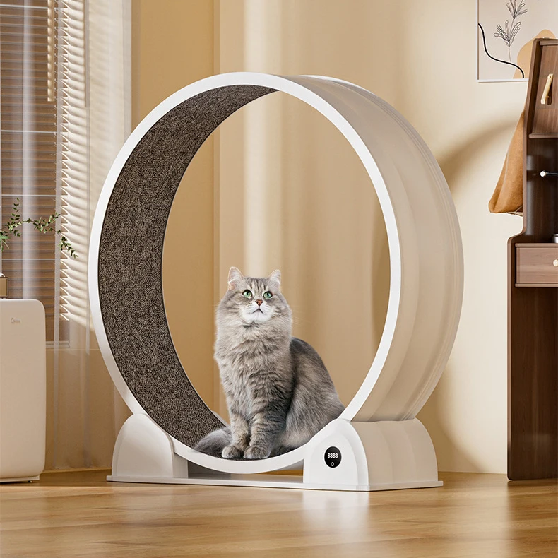 Plastic Running Whe… - image