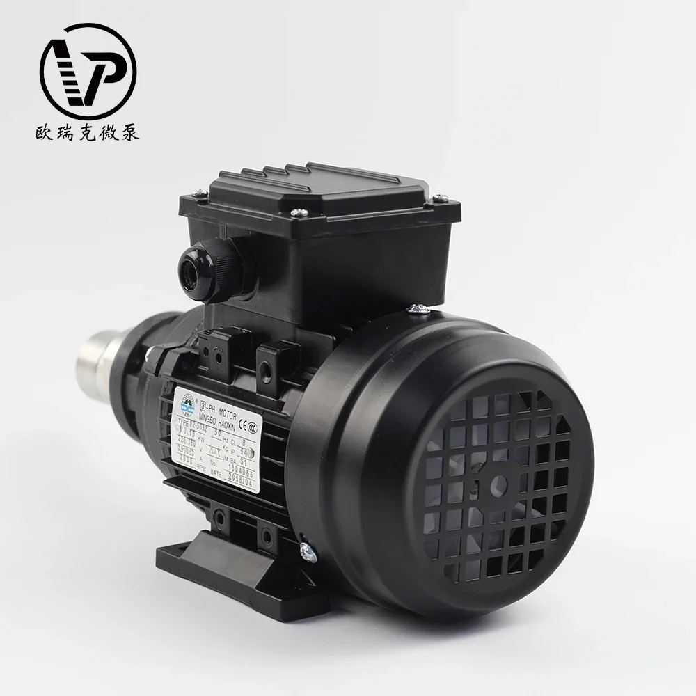 High Pressure 220v AC Magnetic Drive Gear Pump for Packing Machine Transfer High Temperature Mini Gear Pump