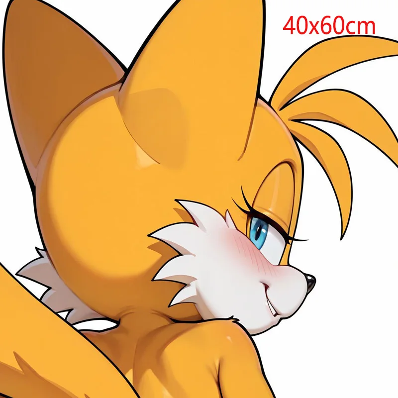 Dakimakura Tailsko Anime 2WAY 40X60cm Body Pillow Cover Sofa Cushion Double-side Print Throw Pillow Case