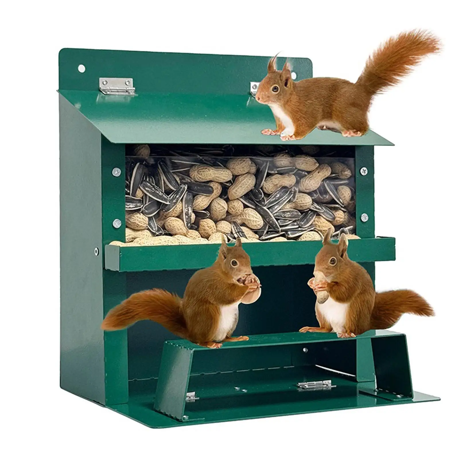 Squirrel Feeder Iron Anti Falling Structure Wear Resistant Convenient Large Capacity for Outdoors Chipmunk Feeder for Patio Farm