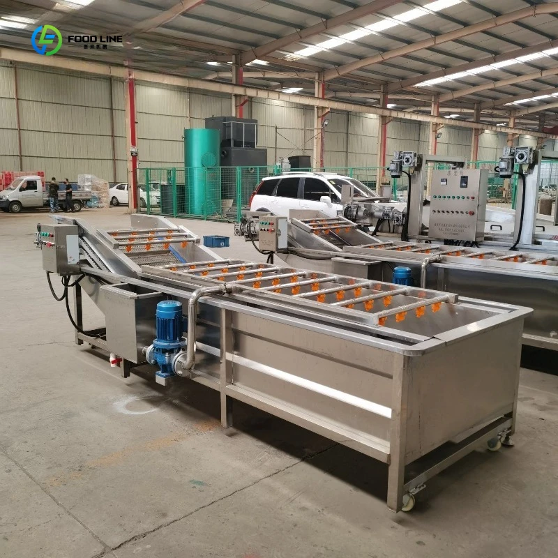 Fruit and Vegetable Bubble Cleaning Machine Commercial Food Grade Produce Washing Unit FL Customized