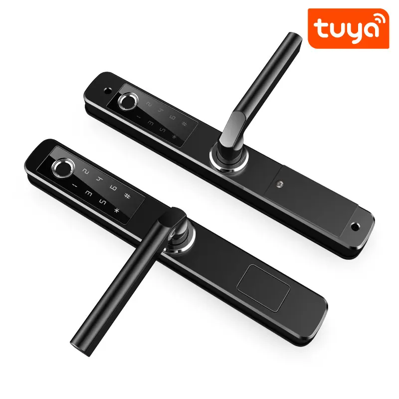 스마트 와이파이 양면 방수 지문 도어 PST-F2-22