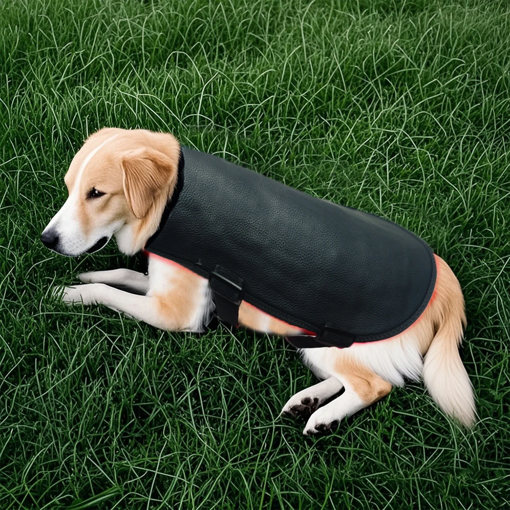 Muscle Recovery and Pain Relief Dog Health Wearable Animal Therapy Heated Health 850nm Red Light Therapy