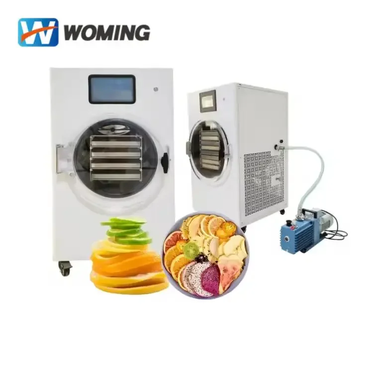 

CE Approved 8-13 Lbs 4-6kg Vacuum Lyophilizer 5 Trays Dryer Price for Candy Flower Fruit Vegetables Meat Milk