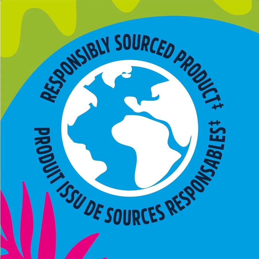 Responsibly Sourced Paper Towel Strong Absorbent and PlasticFree