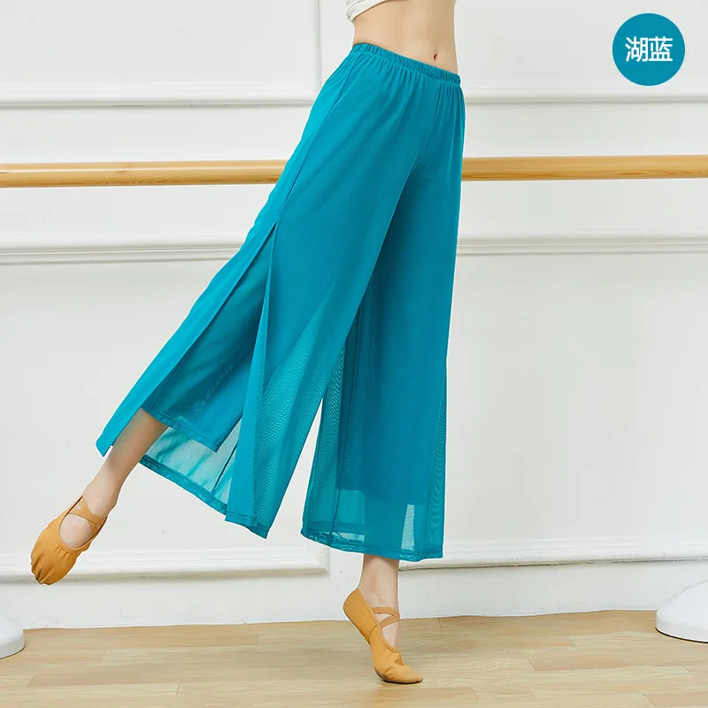 Classical dance practice pants for adult women with mesh body charm in spring and summer, new Chinese ancient style ethnic dance