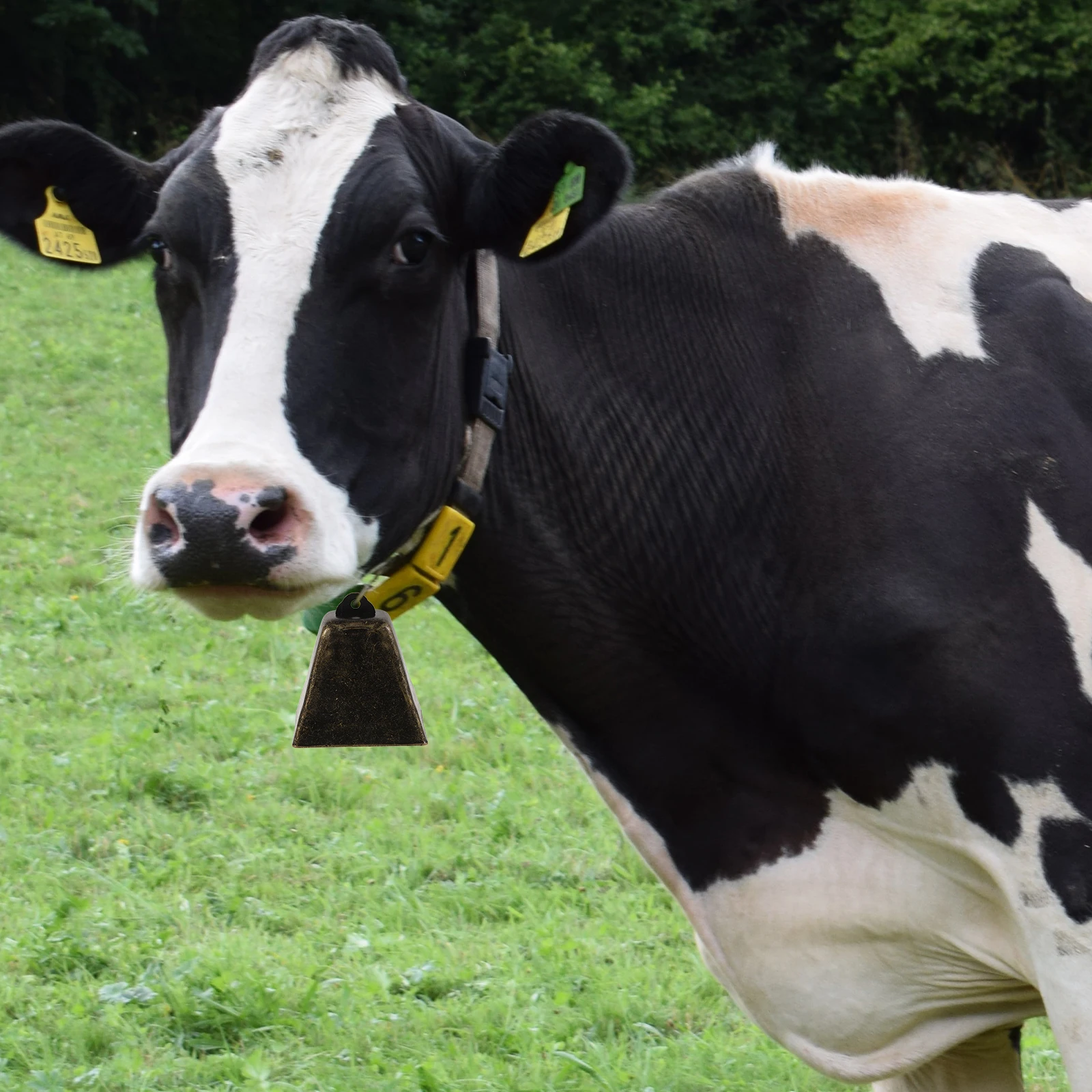 

Mini Retro Cow Bell Metal Square Dog Collar Bell Hanging Ornament Clear Crisp Sound Accessories for Pets