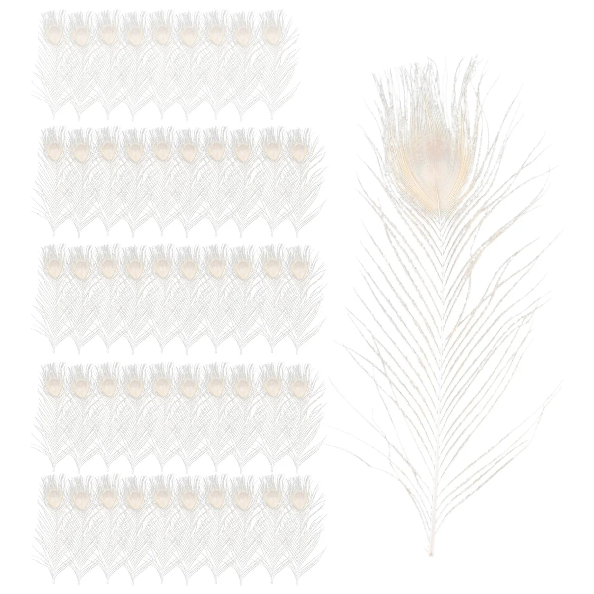 ABLK 50 قطعة/ريش الطاووس الأبيض الطبيعي في العين، 10 إلى 12 بوصة من ريش الطاووس لتزيين الزفاف