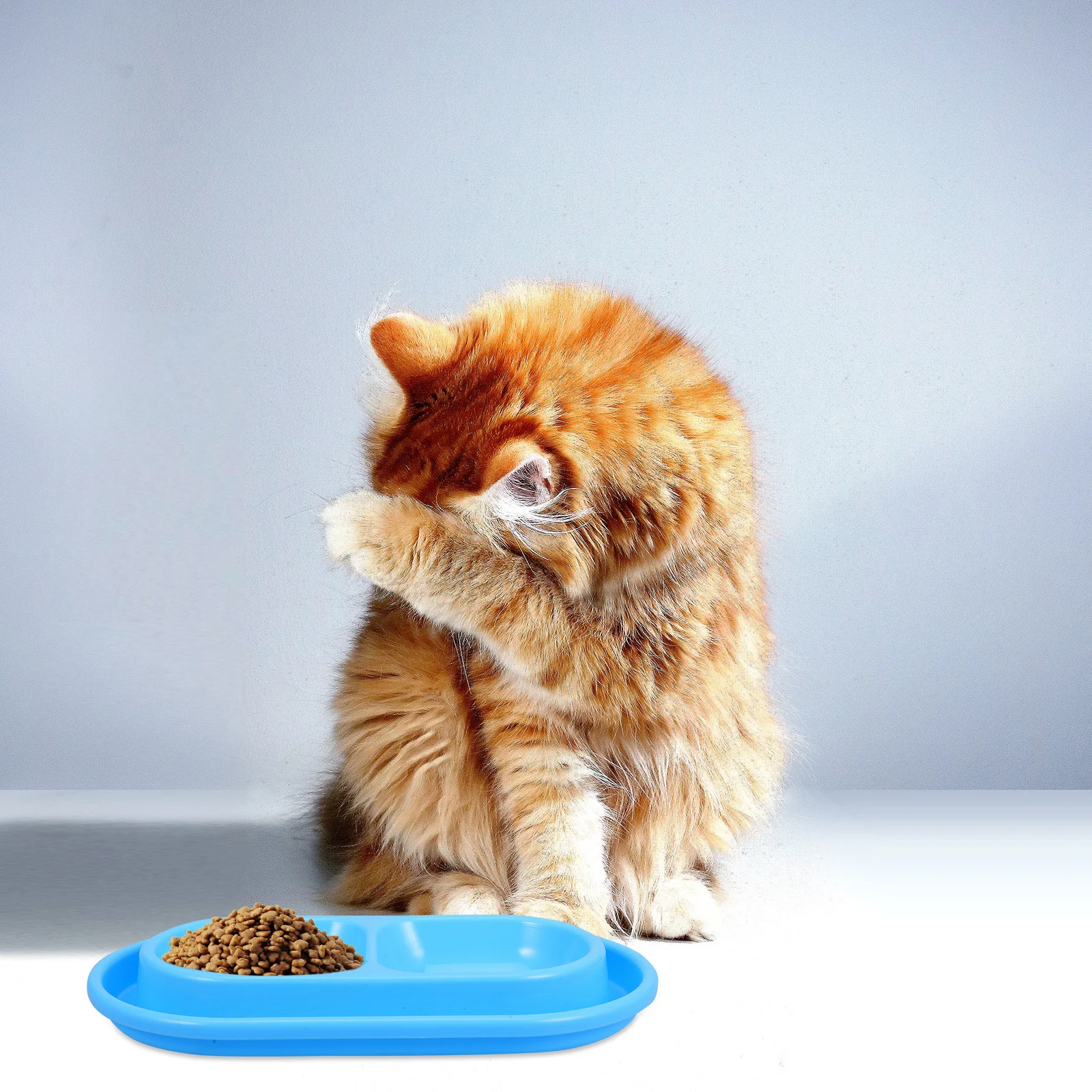 

Anti-ant Cat Bowl Size Feeding Raised Bowls for Indoor Cats Kitten Dish Proof Pet Food Tray Away Ants Design Rice