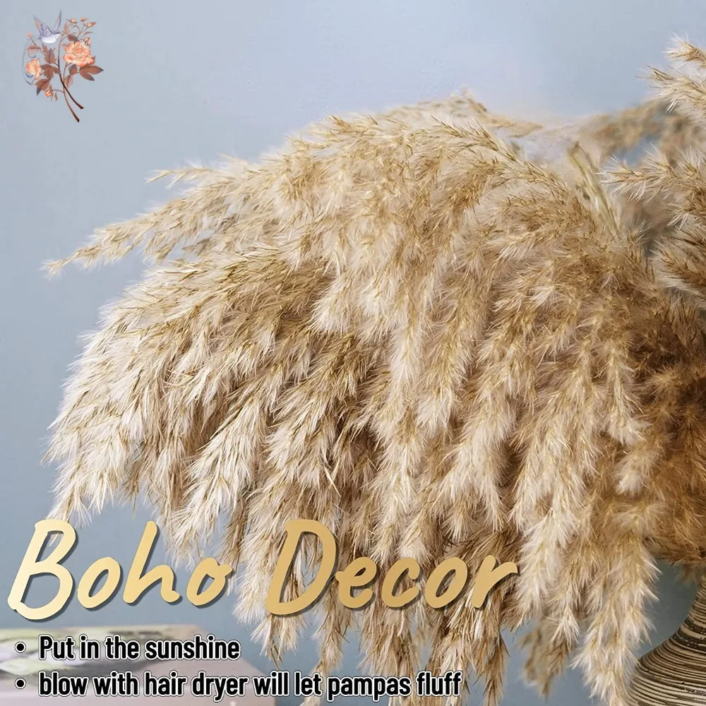 Fluffy Dried Pampas Bouquet Boho Home Decoration Natural Phragmites Reed Pampa Bunch Wedding Artificial Flowers Shooting Props