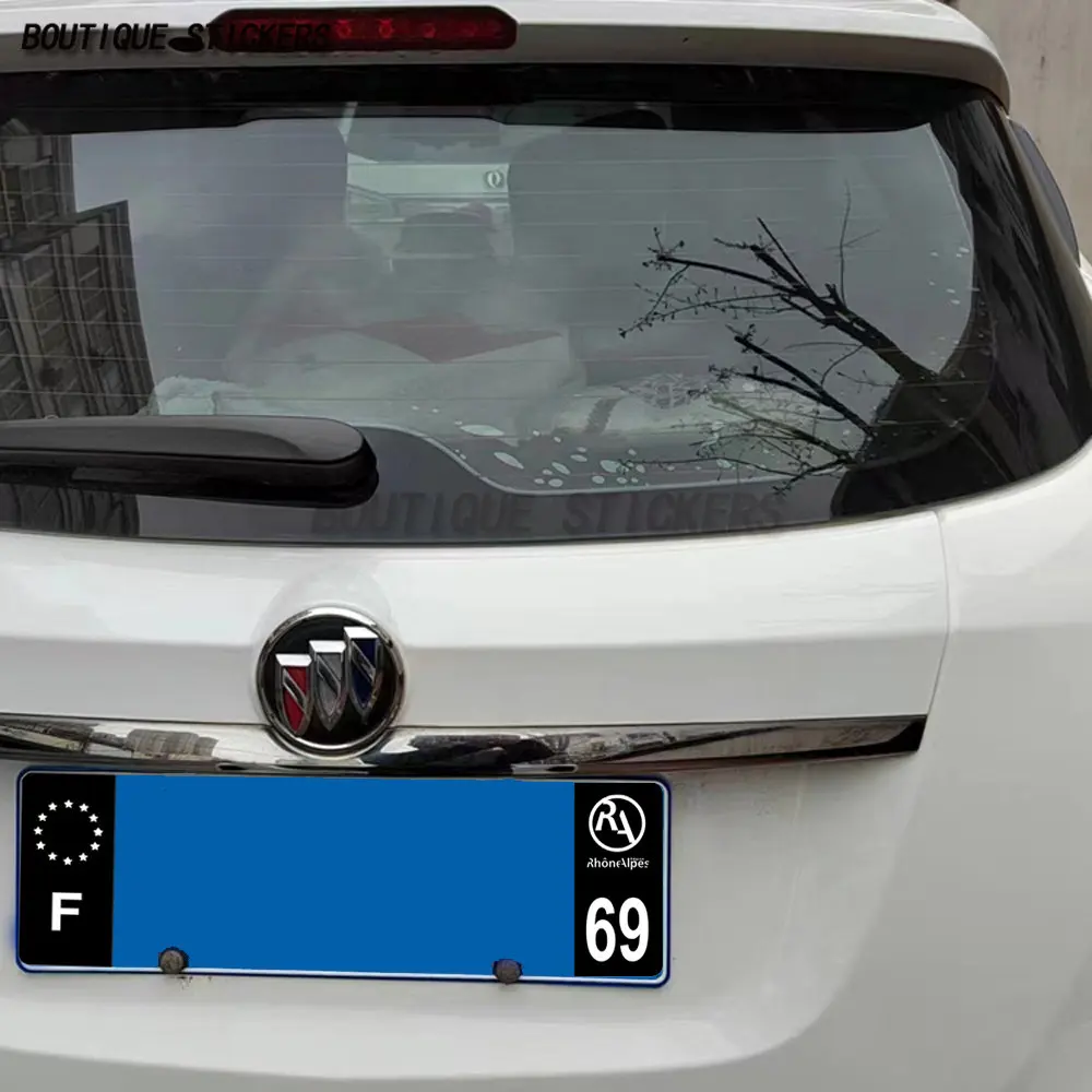 License Plate Sticker F Europe 03 Allier01 Ain 74 License Plate Components 69 RA Waterproof Polyethylene Sticker