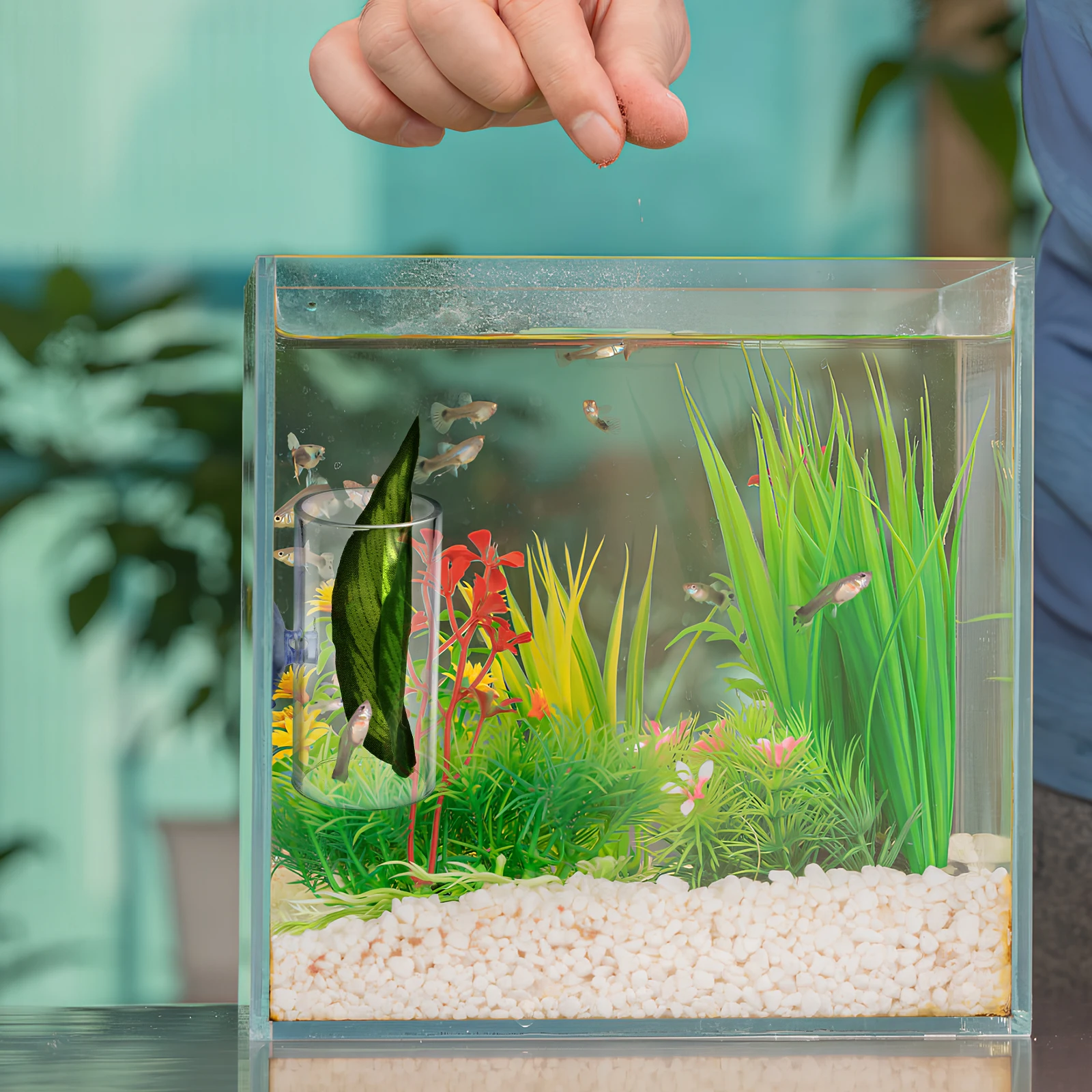 

2pcs Betta Fish Hideout Transparent Acrylic Leaf Cave Small Fish Tank Decor Aquarium Tunnel Resting Spot Pet Supplies