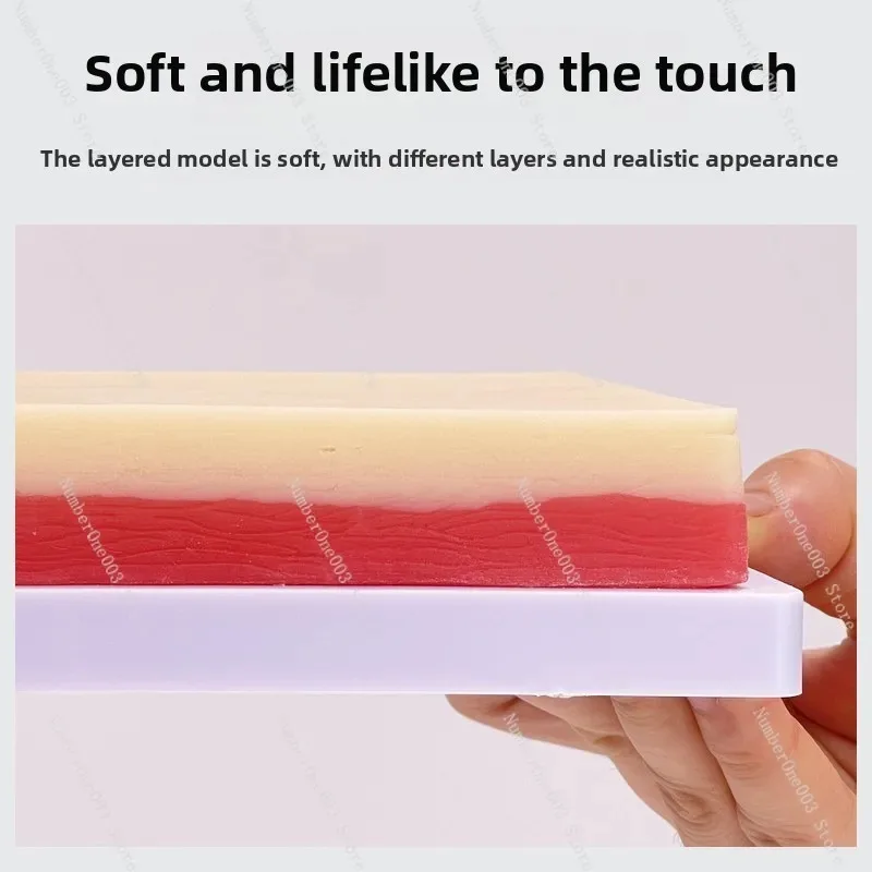 Human Simulation Skin Injection Multi-Functional Muscle Injection and Skin Suturing Training Model