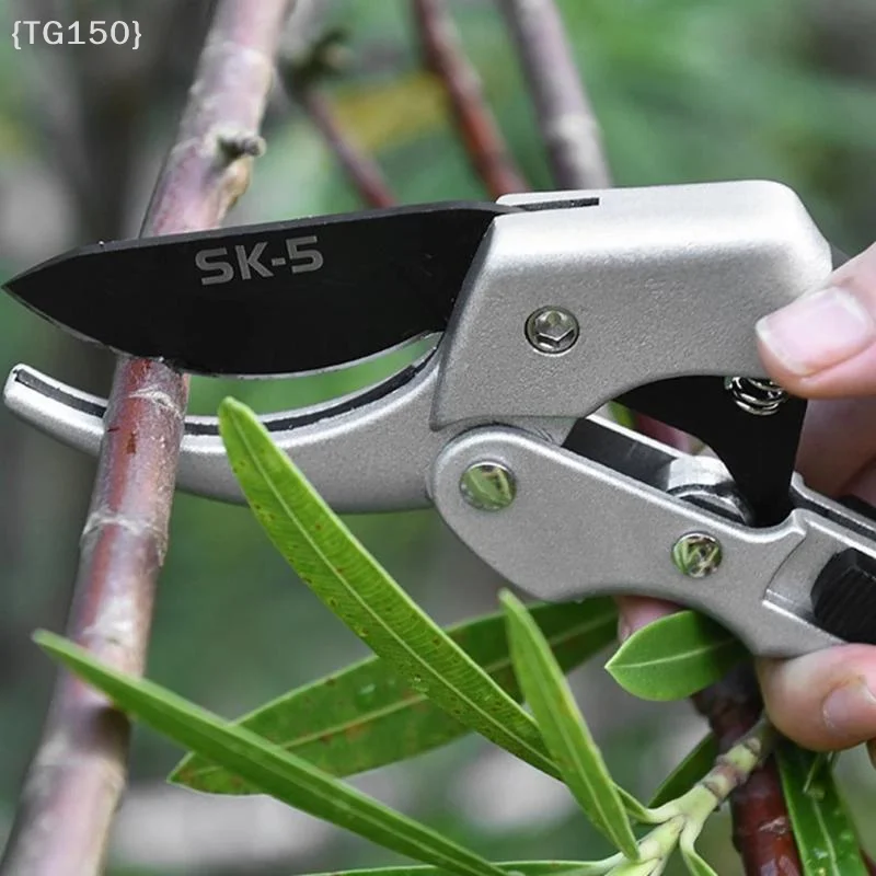Ciseaux horticoles multifoncti - Pruning Shears avis et prix