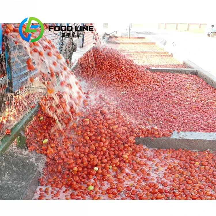 High Yield Tomato Sauce Production Line Advanced Processing Equipment For Maximizing Tomato Utilization And Output