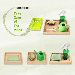 Montessori Practical Life Activists Dusting/ Cleaning/ Watering/ Taking Care of Plant Works for Kids Early Learning Resources
