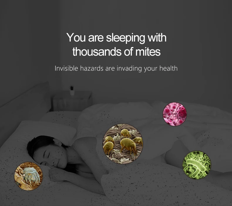 Air Purifier for Pet Odor Negative Ion Air Freshener Ultrasonic Dust Mite Killer Dual Ozone Modes Portable Hotel Air Disinfector