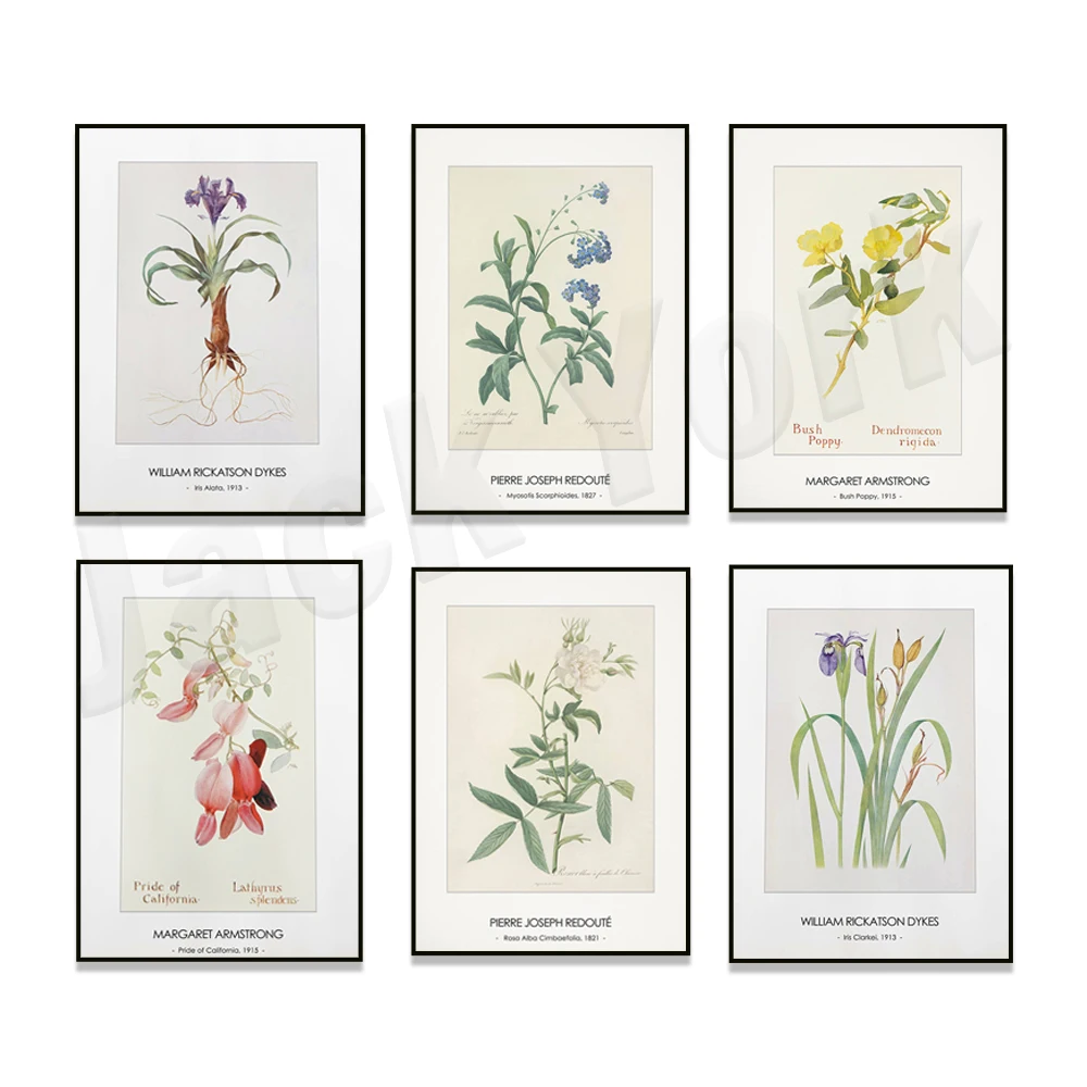 Antique botanical print, dogtooth violet, 1915, pink monkey flower, floral print, modern farmhouse wall art, rustic home decor