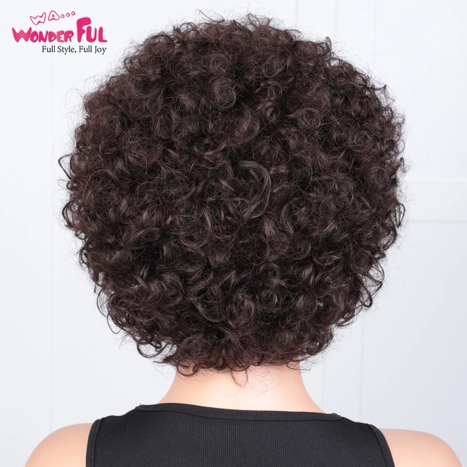 Brown Wonderful Short Brazilian Jerry Curl Human Hair Wig Black Women Kinky Curly Nature Remy Hair Wig full machine made wig