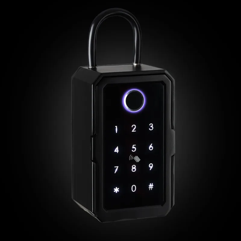Graffiti smart fingerprint key box, all-through lock Bluetooth password storage box, wall-mounted decoration key storage box