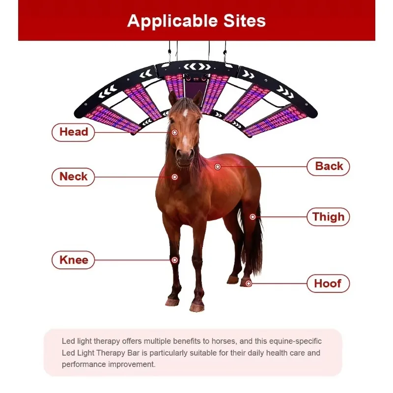 828 Pcs Leds Solarium Equine Horse Full Body Solarium Horses Lamp Horse Stall  Infrared Red Light Therapy Equine Solarium