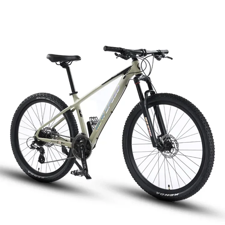 Carbon Mountain Bike 11 Speed 29inch Thru Axle Disc Brake Suspension Fork Complete Bicycle 29 Carbon Bike