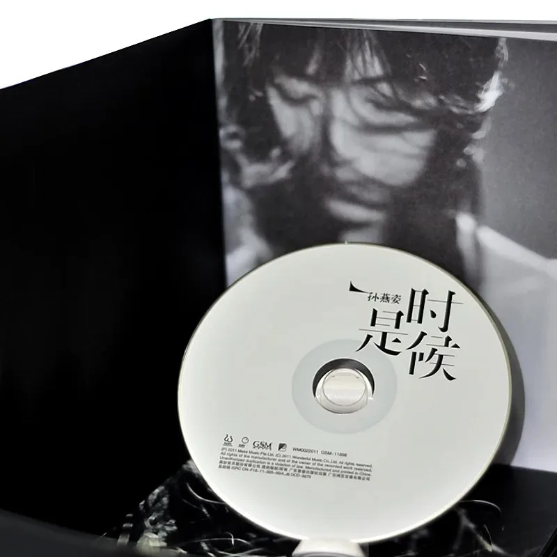 Рисунок 4 - Альбом Sun Yanzi It's Time 2011