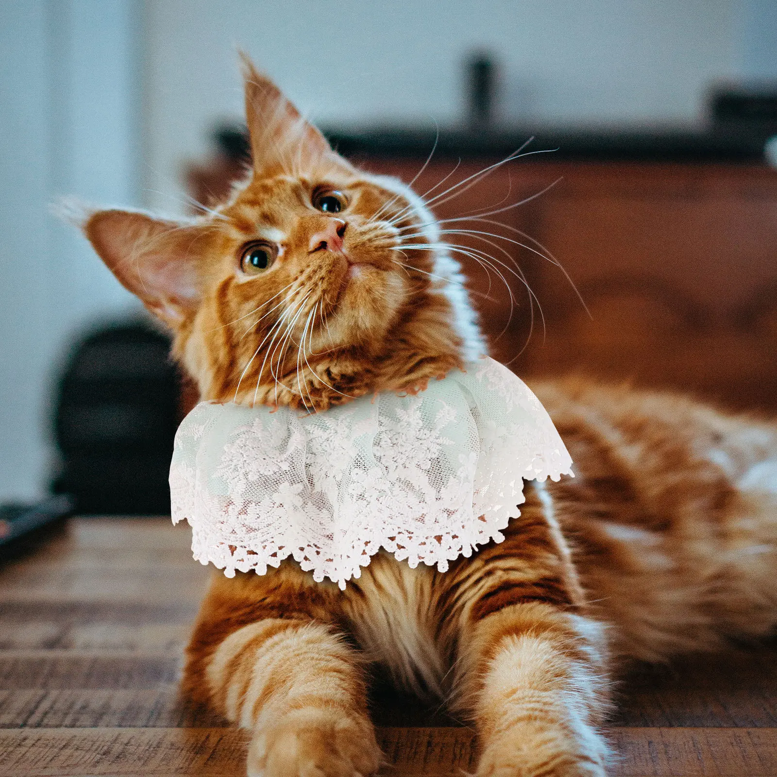 

Pearl Collar Necklace Adjustable Pet Lace Collar Pet Cat Lace Neckwear Cat Necklace For Party Wedding Christmas Photo