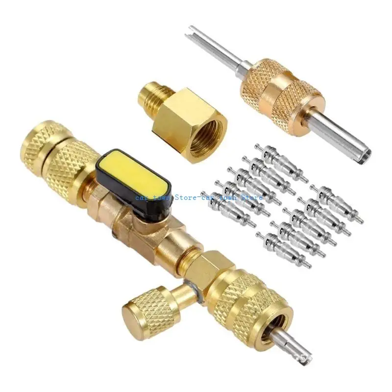 

RXJE Практические клапаны Установочный инструмент Установки Extractor Extractor с 10 шт.