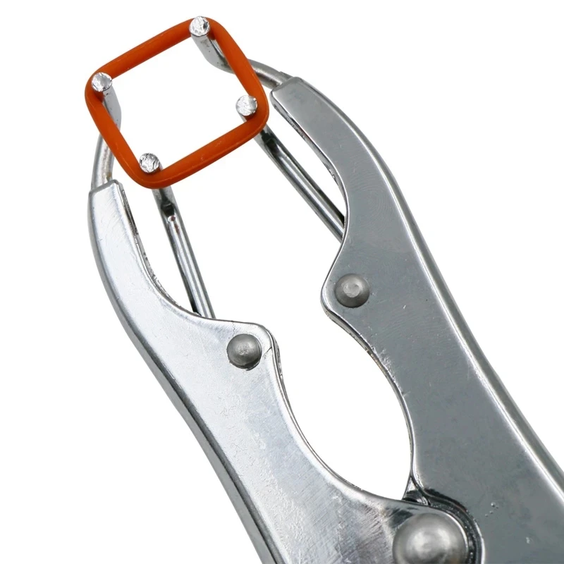1Pc Sheep Tail Resection Removal Castration Pliers Farm Animal Bloodless Piglet Broken Tail Forceps Veterinary Tools