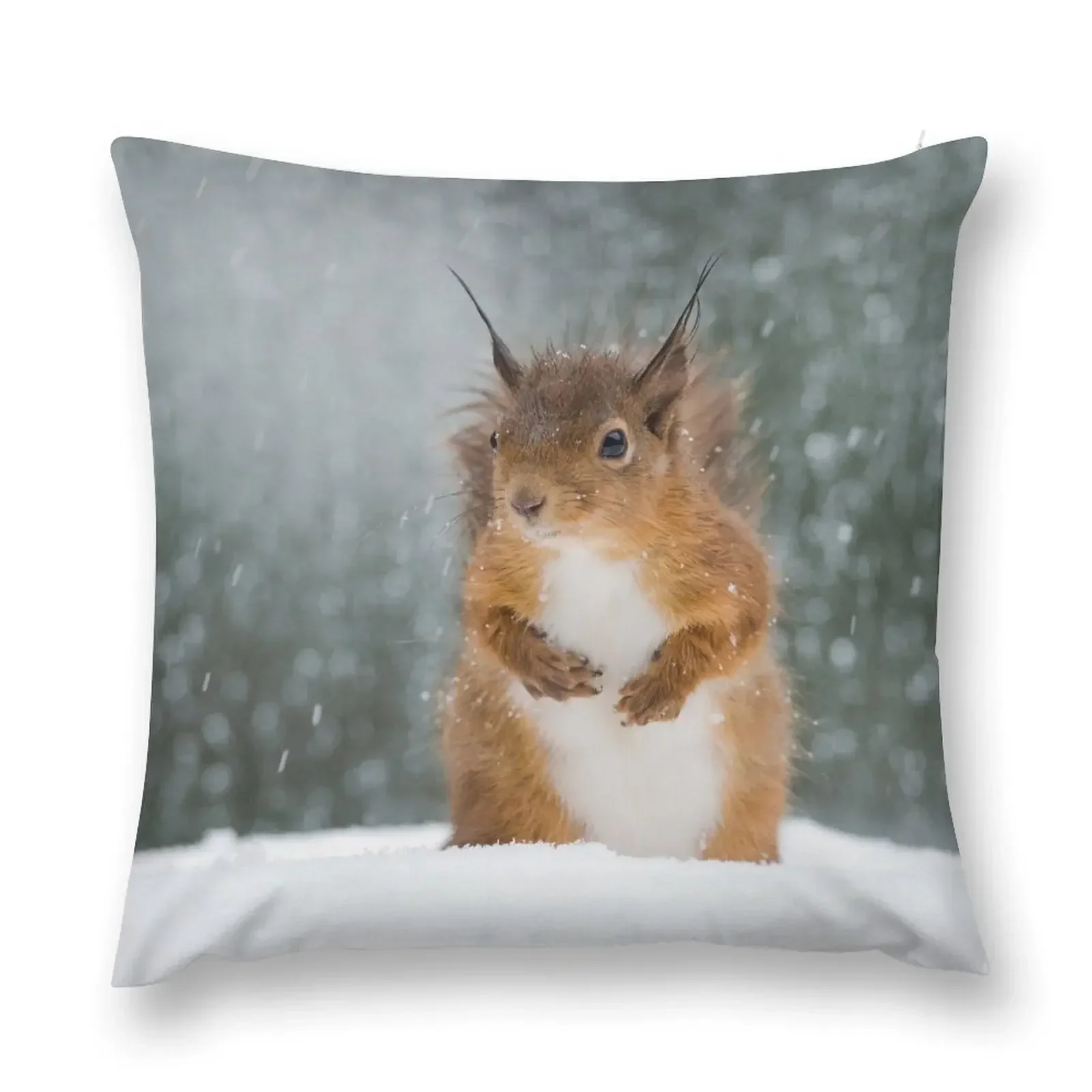 

Red Squirrel in the Snow Throw Pillow Luxury Cushion Cover Embroidered Cushion Cover pillow