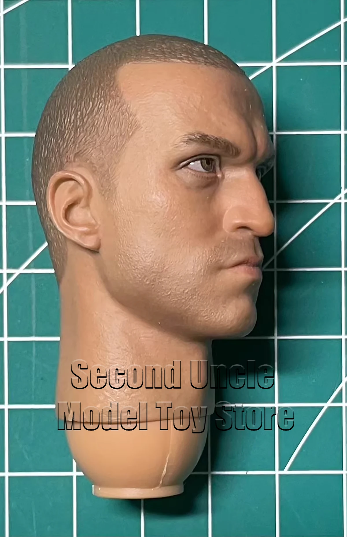 DAMTOYS 78018 1/6 head sculpt model Suitable for 12 inch model