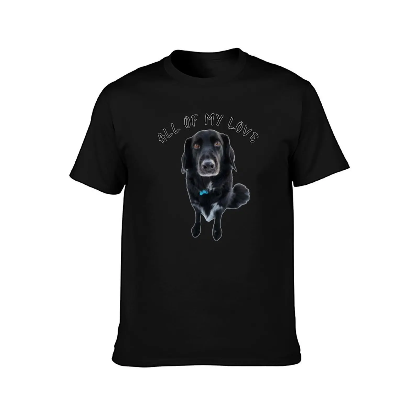 Bear 4 T-Shirt Fitness Quick Dry Short Sleeve Top T-Shirt