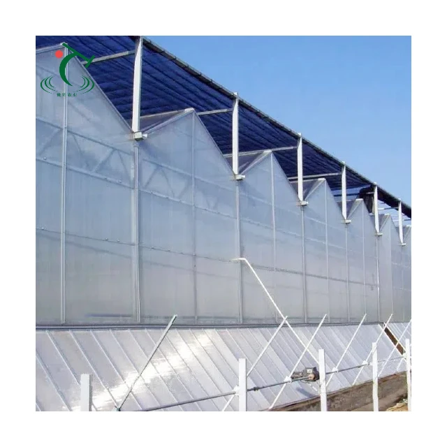 

Customized greenhouseAgriculture Hydroponic Greenhouse with Venlo-Type Galvanized Steel Pipe PC Polycarbonate Sheet Multi-Span G
