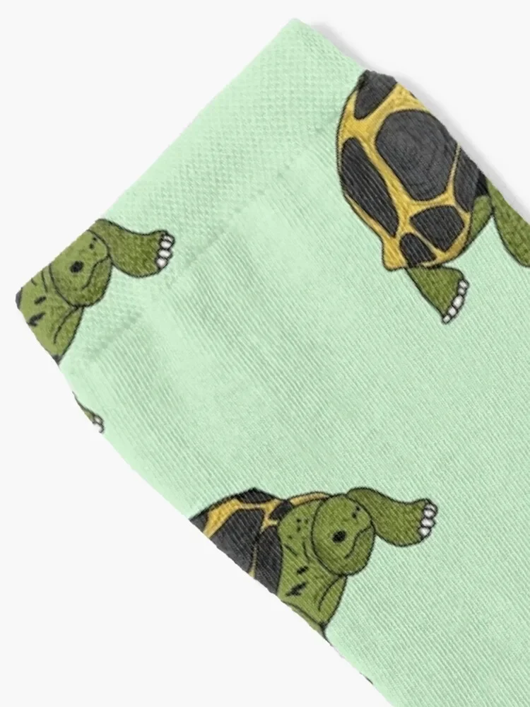 Tortoise Socks fashionable sport new year christmas gift Socks Man Women's