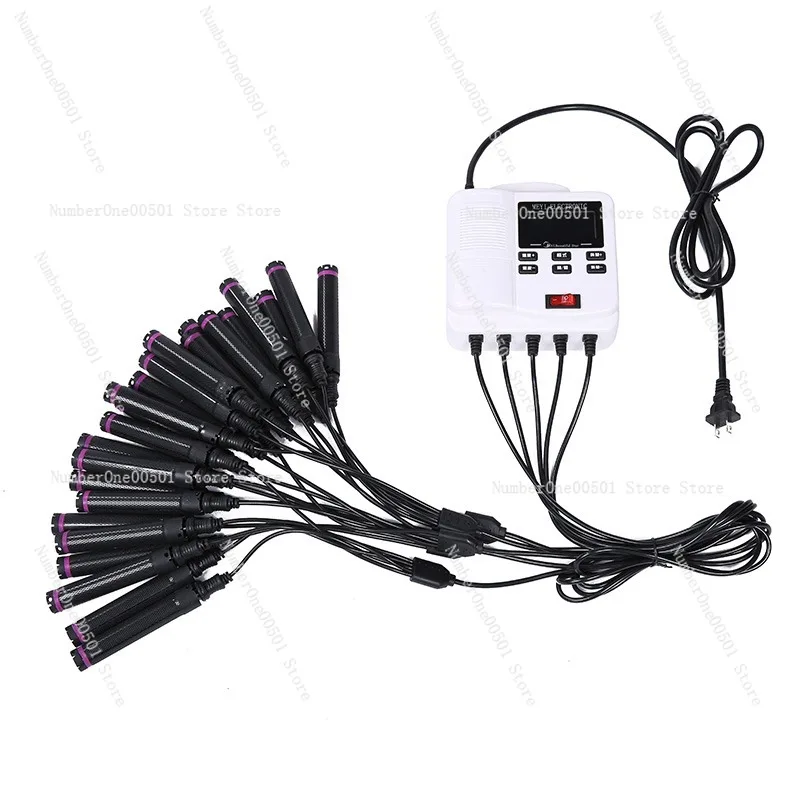 

Digital Hair Perm Machine Portable Hot Styler 220V/24V Ceramic Technology for Salon Use